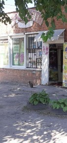 Дніпропетровська область, Дніпро, Новокодацький