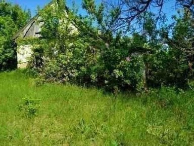 Черкаська область, Золотоноша