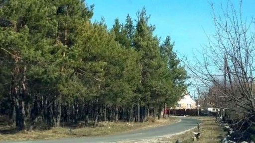 Киевская обл., Бориспольский район, с. Гнедин, Центральная ул.