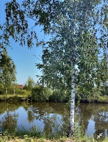 Продається дача біля озера