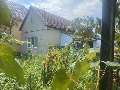 Продаю будинок та земельну ділянку с. Ключарки, Мукачівський район