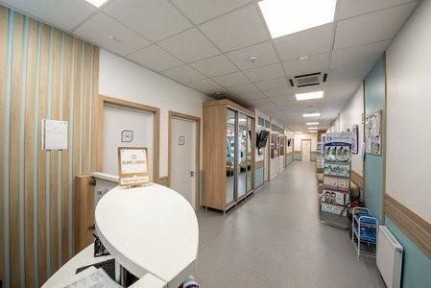 Київська область, Київ, Подільський