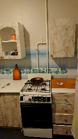 Киевская обл., Белоцерковский район, г. Белая Церковь, Леваневского ул., 47/1