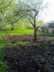 Дніпро, Курська вул.