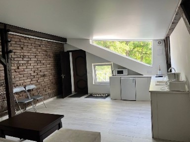 Двокімнатна квартира-лофт в центрі міста з видом на гай