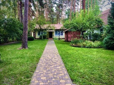 Довгострокова оренда будинку в сосновому лісі, с. Лютіж