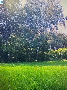 с. Бабайківна, вул. Лісова