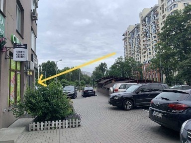 Київська область, Київ, Голосіївський