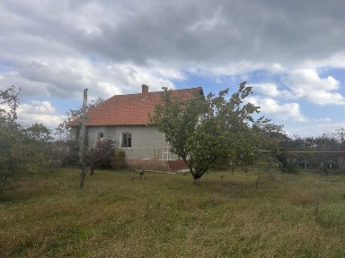 Одеська область, Грибівка