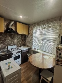 Запорізька область, Запоріжжя, Вознесенівський