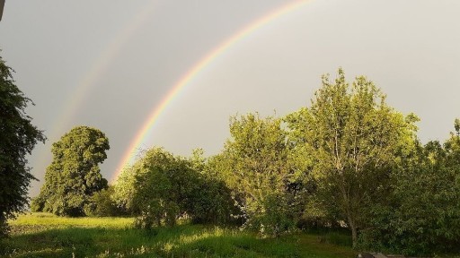 Приміщення в с. Колодязьки під логістику та інші цілі.