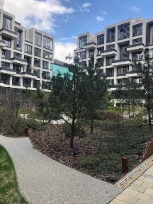 Київська область, Київ, Шевченківський