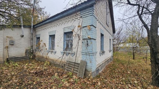 Київська область, Бориспіль