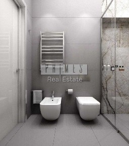 Київська область, Вишеньки