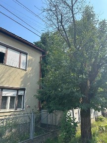 Закарпатська область, Хуст