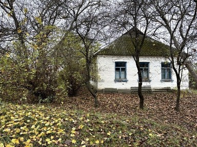 Продається 50 соток з будинком у селі Боровикове, Черкаська область