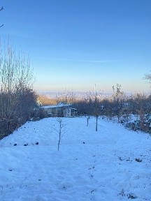 Чернівецька область, Чернівці