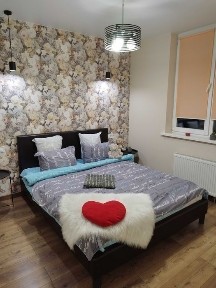 Київська область, Бровари