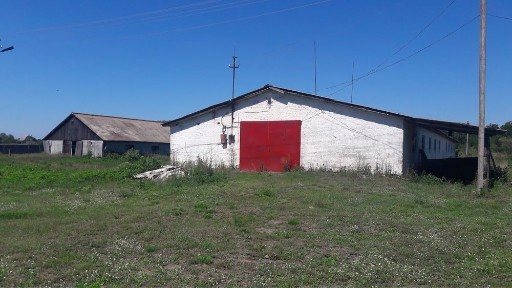 Житомирська область, Житомир, Житній ринок