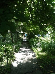 Дніпропетровська область, Дніпро, Шевченківський