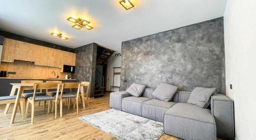 Фенікс, Буковель. Шале президентське, дохід 300000 грн. в місяць