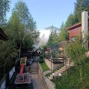 Закарпатська область, Сойми