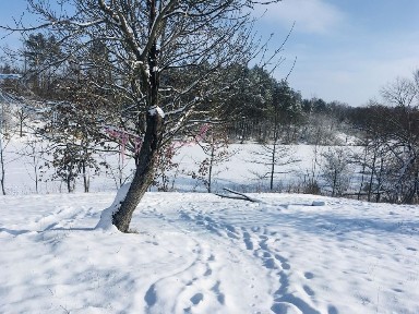 Оренда будинку помісячно, подобово