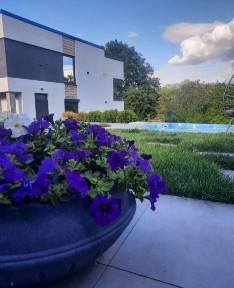 Аренда дома посуточно. Дом с бассейном. Посуточная аренда. Беседка