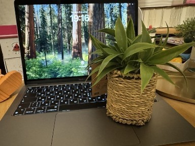 Донецька область, Слов'янськ