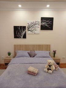 Чернівецька область, Чернівці