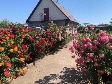 Одеська область, Велика Балка