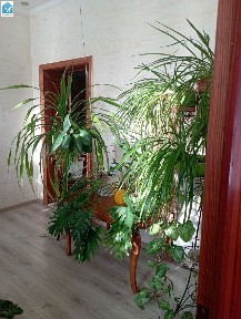 одесса фонтанка