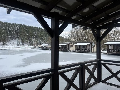 «Greenside House» Будинок подобово Львів, Раківець, оренда, джакузі