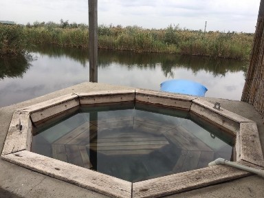 Дніпропетровська область, Дніпро, Центральний