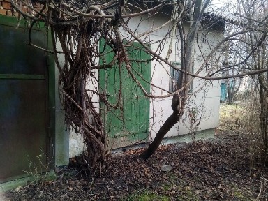Продається малий будинок
