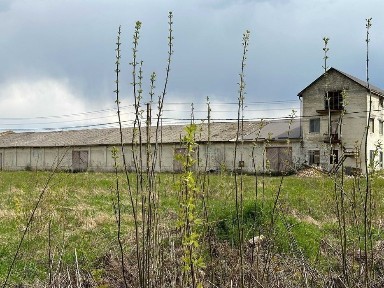 Рівненська область, Грушвиця Друга