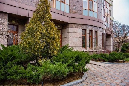 Київська область, Київ, Шевченківський