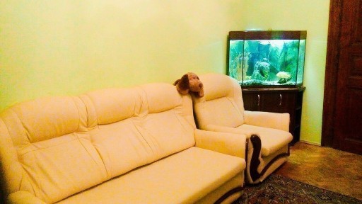 Львівська область, Львів, Галицький