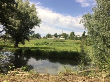 Продаю будинок та земельну ділянку 43 + 40 сотки з виходом до річки