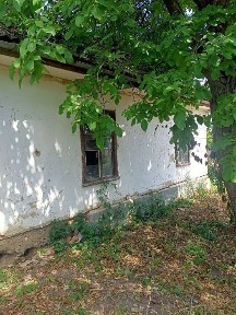 Будинок та земельна ділянка в с Берестівець