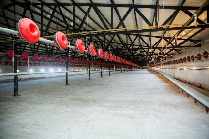 Продаж птахофабрики свиноферми комбікормового заводу в Чернівецькій