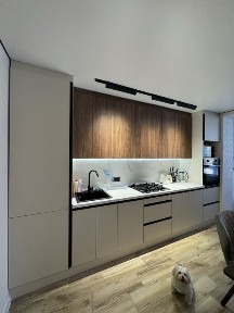 Дніпропетровська область, Дніпро, Шевченківський