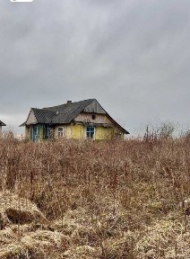 Продаж будинку в Павликівці
