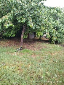 Одеська область, Одеса, Хаджибейський