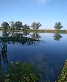 Продажа 1-комнатной квартиры 35 м²