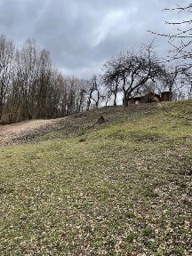 Продається старий будинок з великою земельною ділянкою