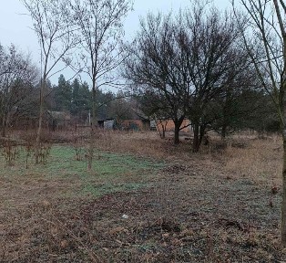 Дніпропетровська область, Орлівщина