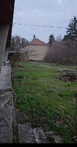 Закарпатська область, Берегове