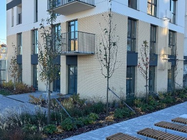 Львівська область, Пустомити