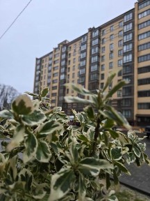 Масани | Лісовий-2 |Топ ціна | 70м² | 3 поверх | Неймоівне планування